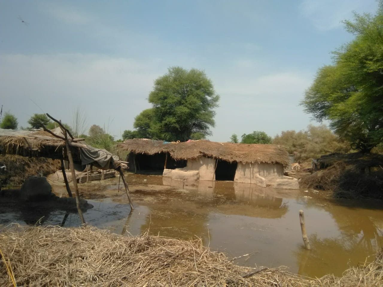 Field response