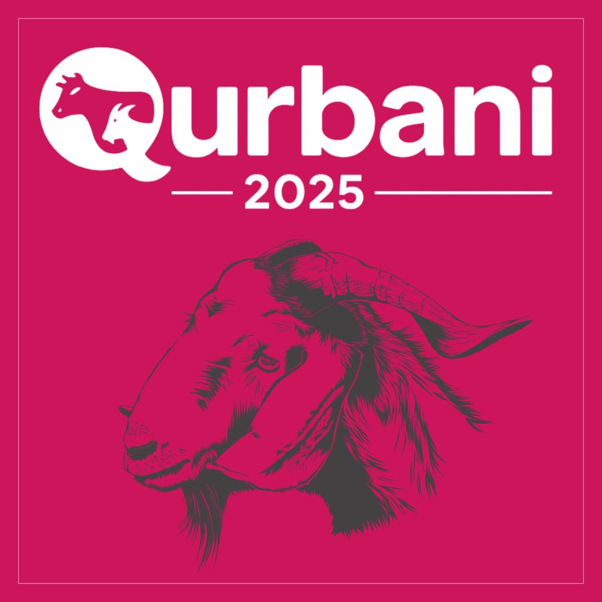 Qurbani